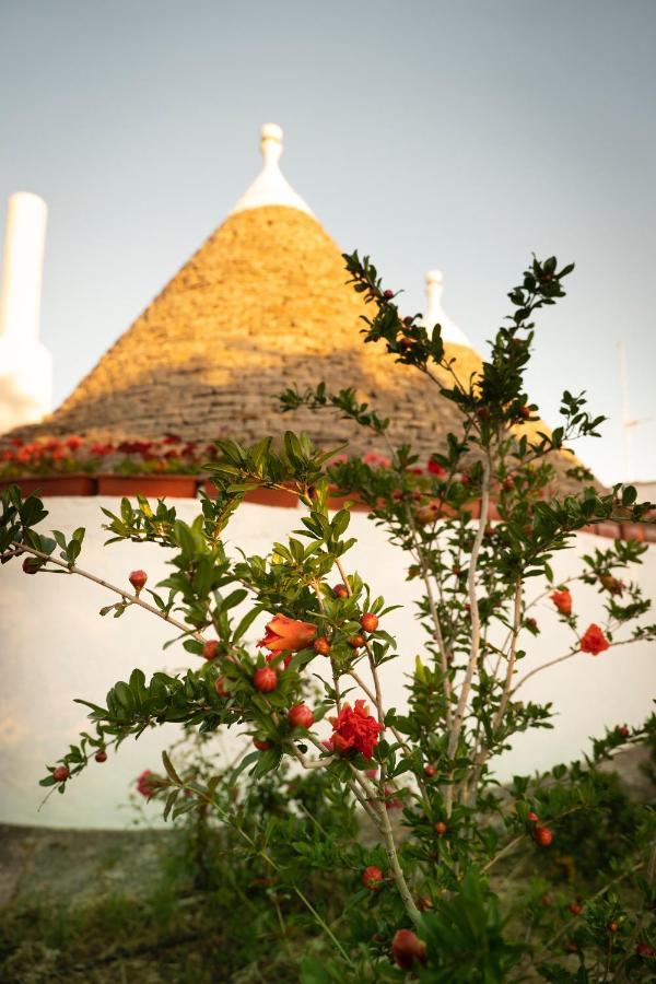Trulli Ulivi Villa Putignano Exteriör bild